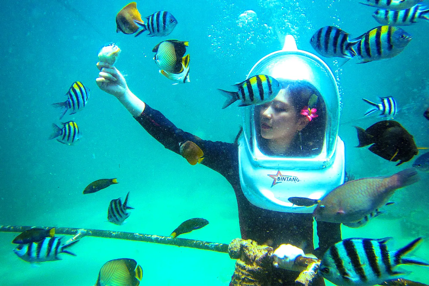 A woman in a scuba suit swims among colorful fish in a vibrant underwater scene