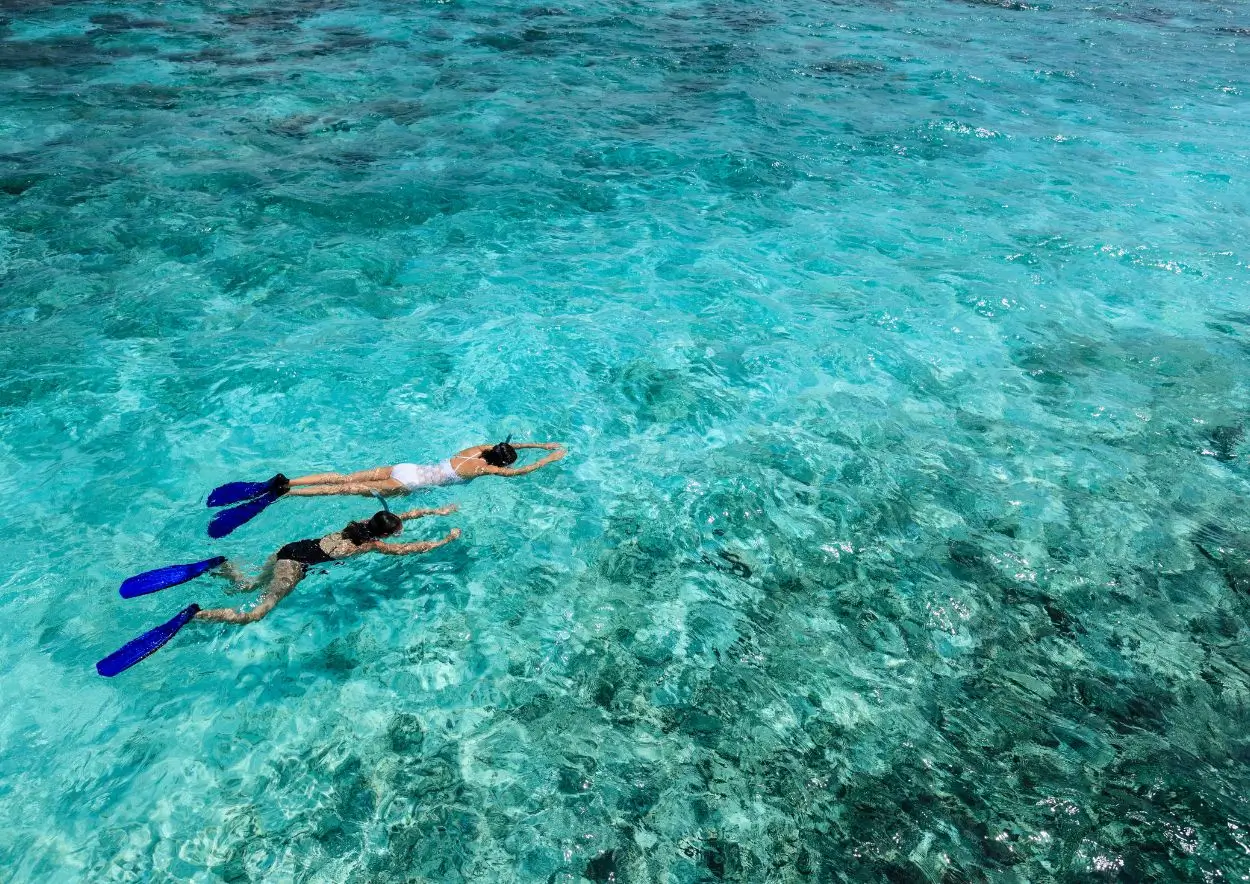 Two people explore underwater while snorkeling in crystal-clear water, observing colorful fish and coral reefs.